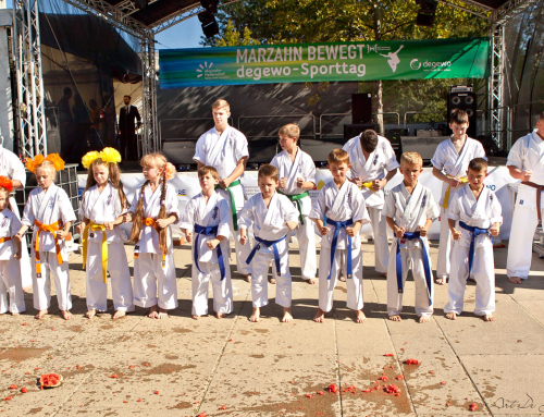 Karatevorführung  Straßenfest